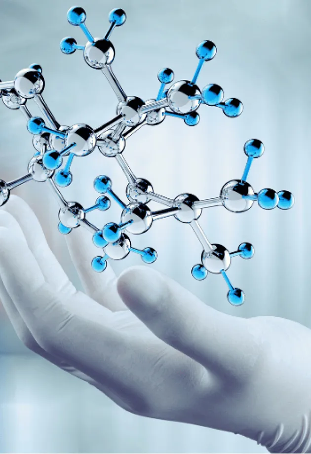 Active Pharmaceutical Ingredients (API)